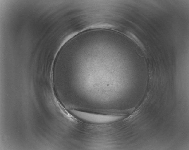 X0000060791044200511101413