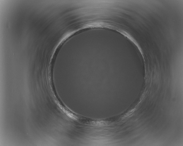 X0000060791045200511101413