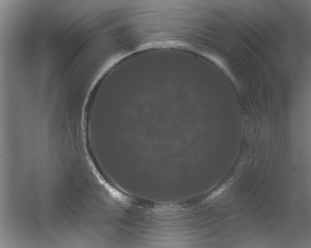 X0000060791046200511101413