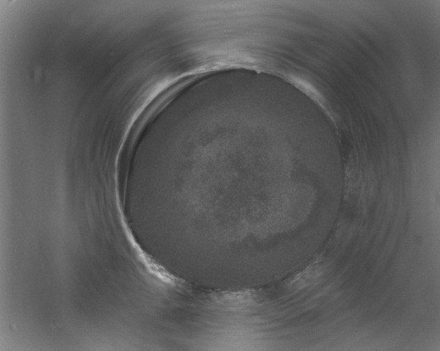 X0000060791047200511101413