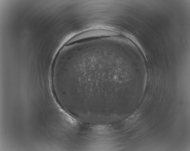 X0000060791048200511101413