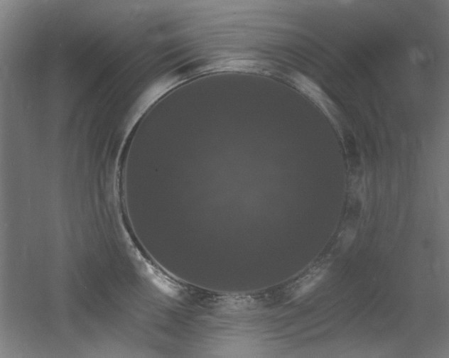 X0000060791050200511101413