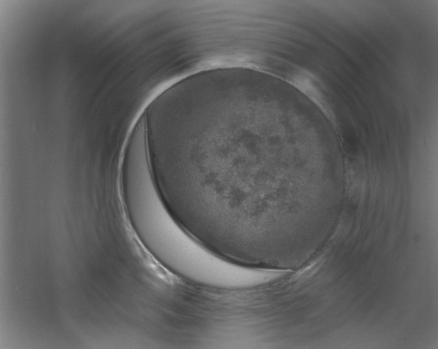 X0000060791052200511101413