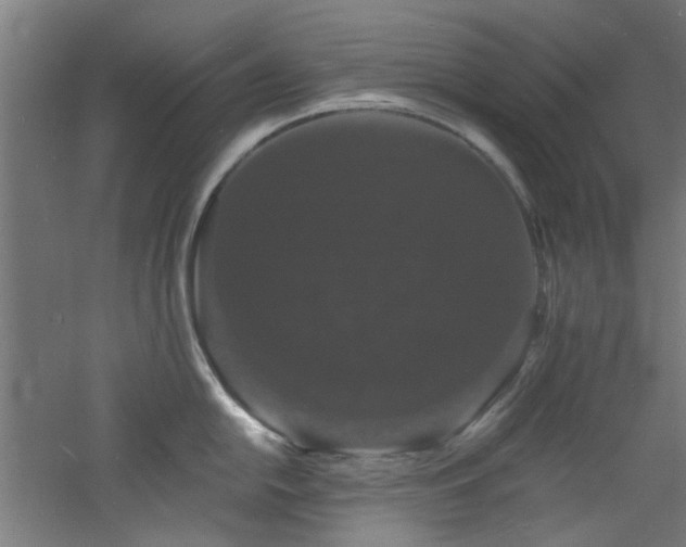 X0000060791054200511101413