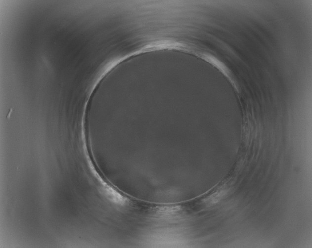 X0000060791055200511101413