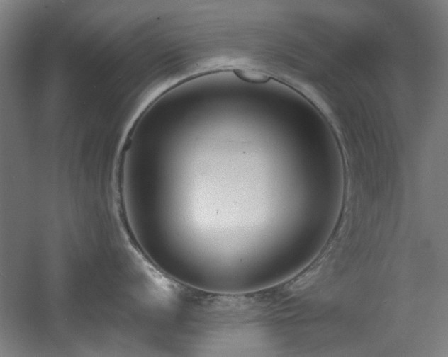 X0000060791056200511101413