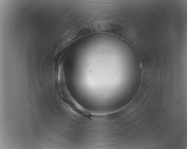 X0000060791058200511101413