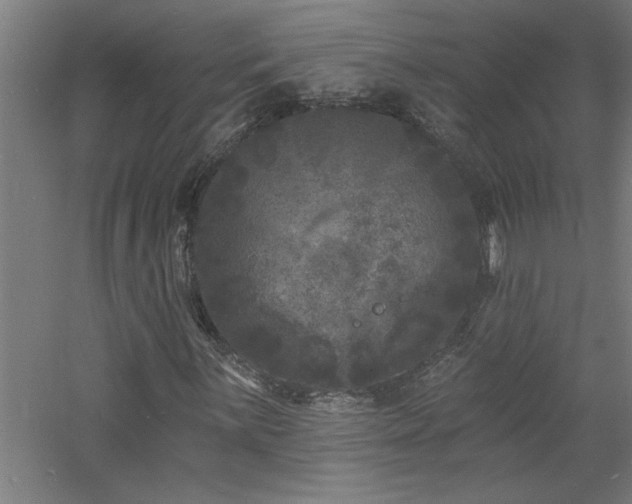 X0000060791059200511101413