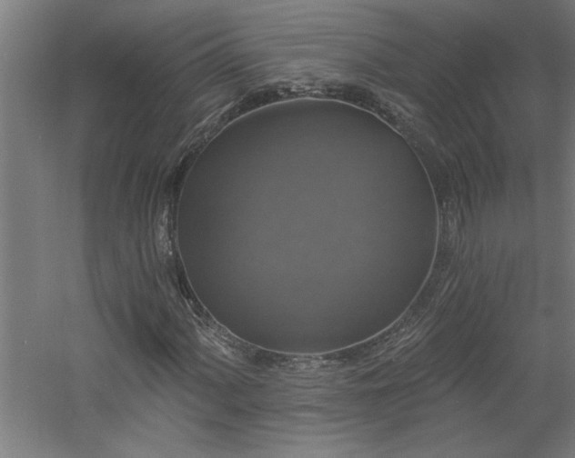 X0000060791060200511101412