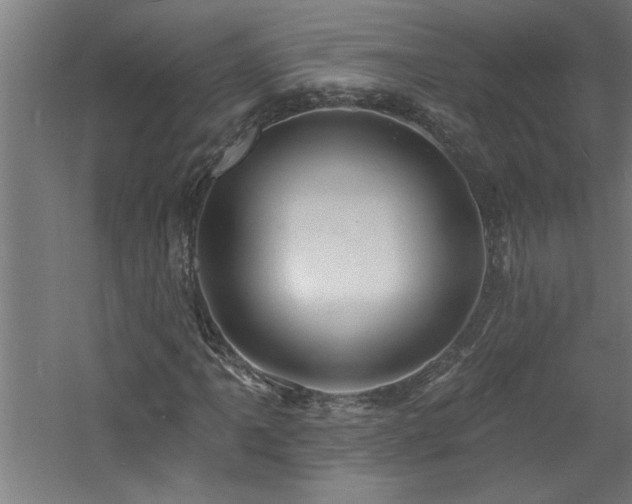 X0000060791061200511101412