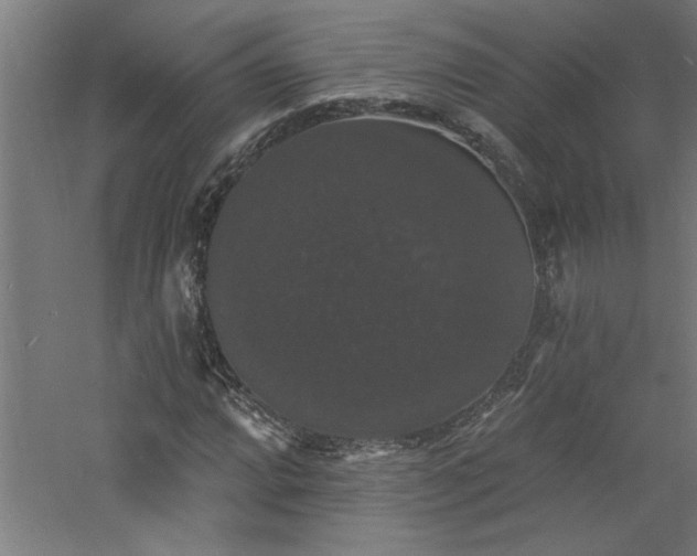 X0000060791064200511101412