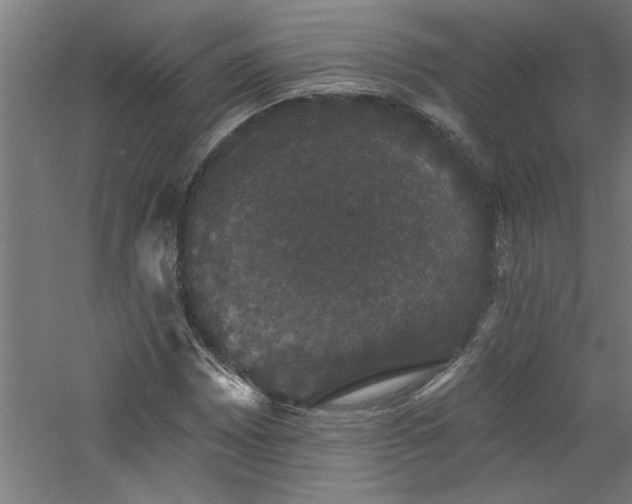 X0000060791065200511101412