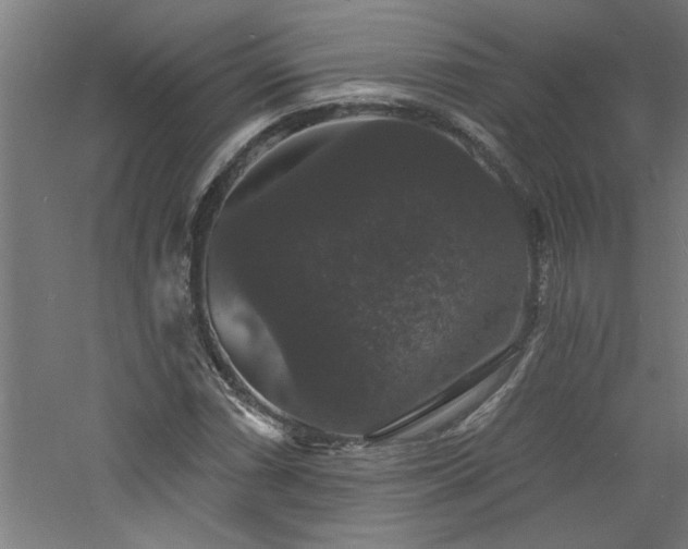 X0000060791066200511101412