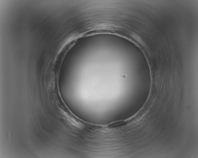 X0000060791067200511101412