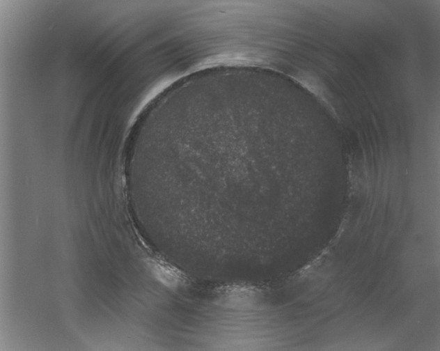 X0000060791070200511101412