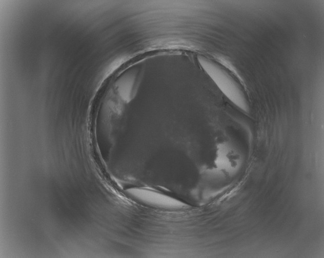 X0000060791071200511101412