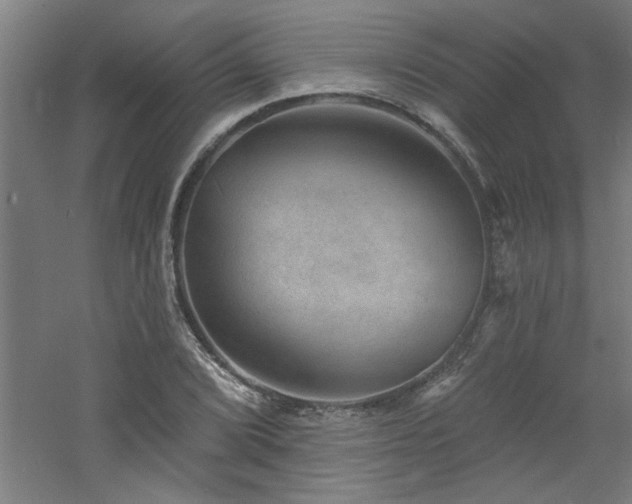 X0000060791072200511101412