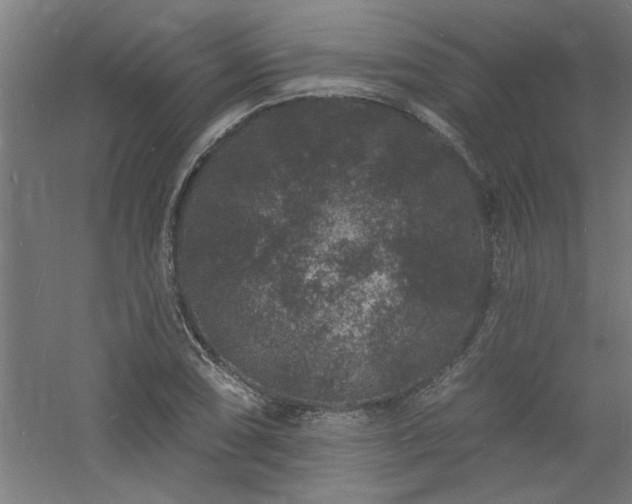 X0000060791074200511101412