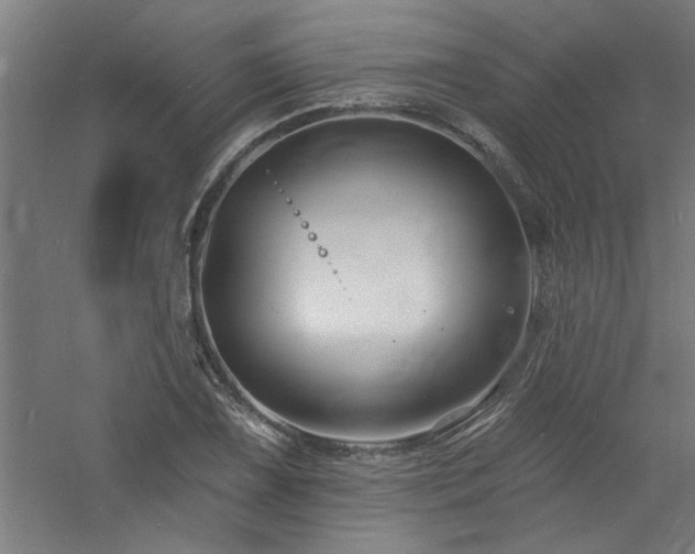 X0000060791075200511101412