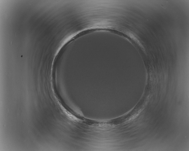 X0000060791077200511101412