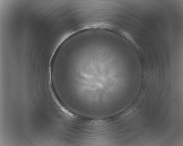 X0000060791079200511101412