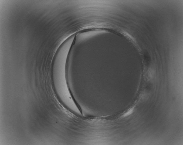 X0000060791081200511101412