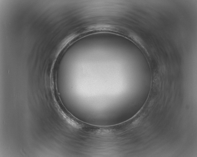 X0000060791082200511101412