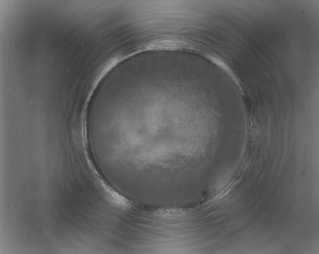 X0000060791083200511101412