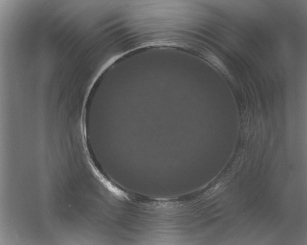 X0000060791084200511101412