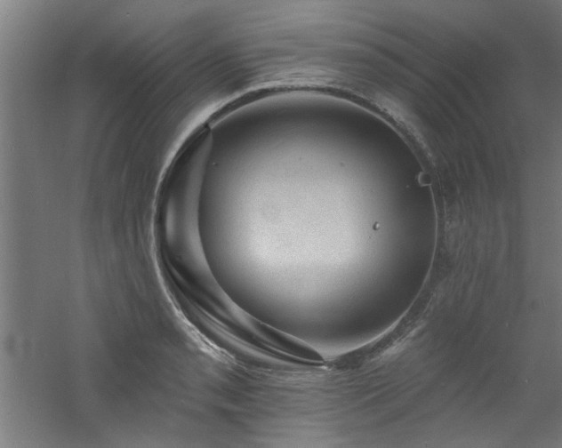 X0000060791085200511101412