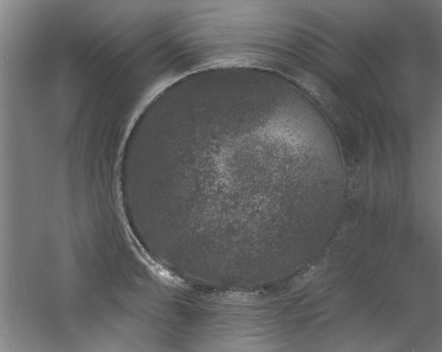 X0000060791086200511101412