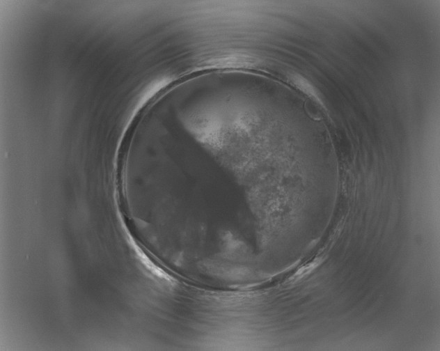 X0000060791087200511101412