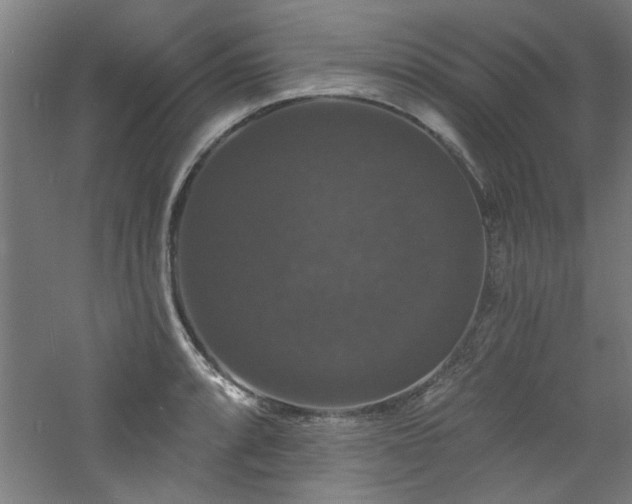 X0000060791088200511101412