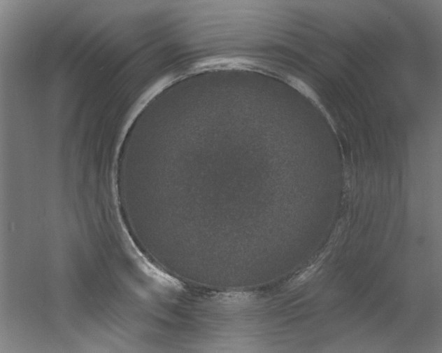 X0000060791090200511101412