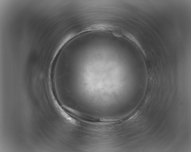 X0000060791091200511101412