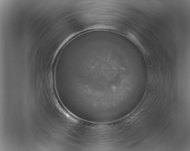 X0000060791092200511101412