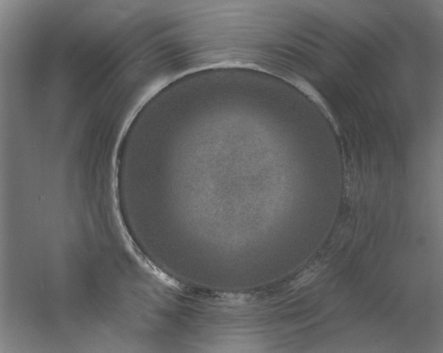 X0000060791096200511101412