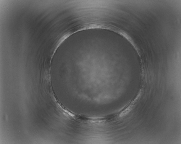 X0000060791097200511101412