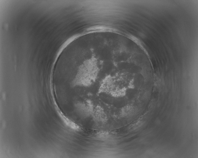 X0000060791098200511101412