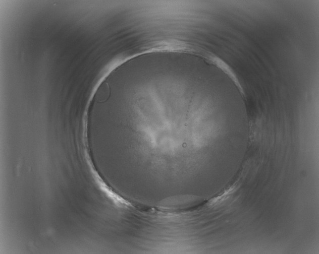 X0000060791099200511101412