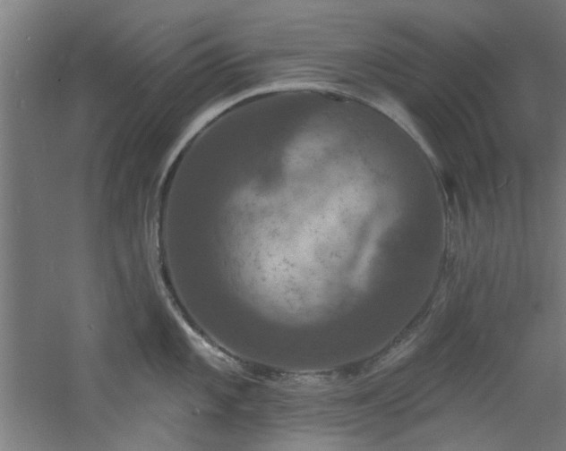 X0000060791101200511101412