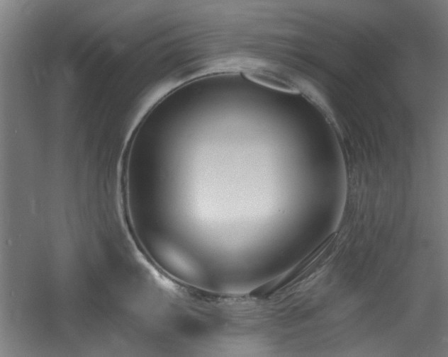 X0000060791103200511101412