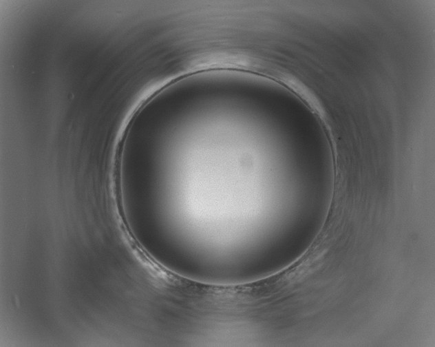 X0000060791104200511101412