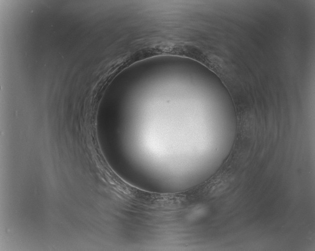 X0000060791105200511101411