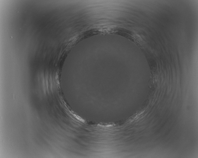 X0000060791106200511101411