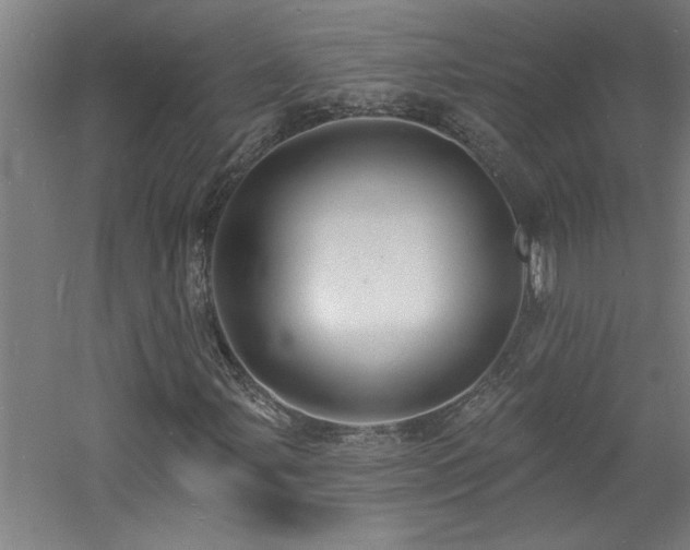 X0000060791107200511101411