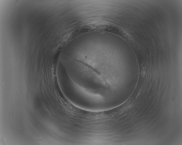 X0000060791108200511101411