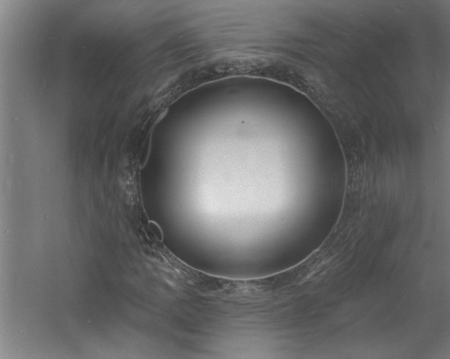 X0000060791109200511101411