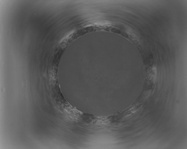 X0000060791110200511101411