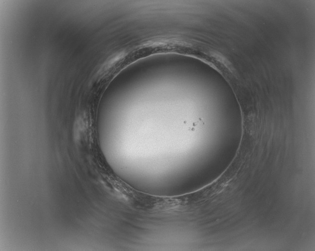 X0000060791111200511101411